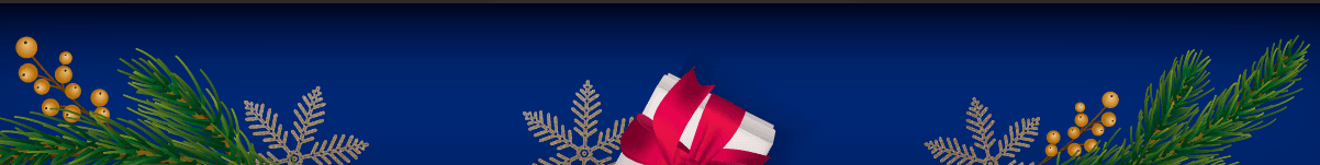 seguridad en diciembre