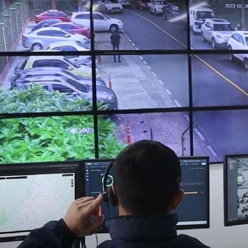 evolución de la seguridad privada